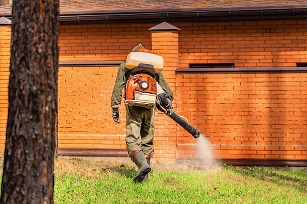 Trusted Termite Control service in Cutler Bay, FL - Nex Pest Control